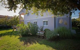Apartments Murenc